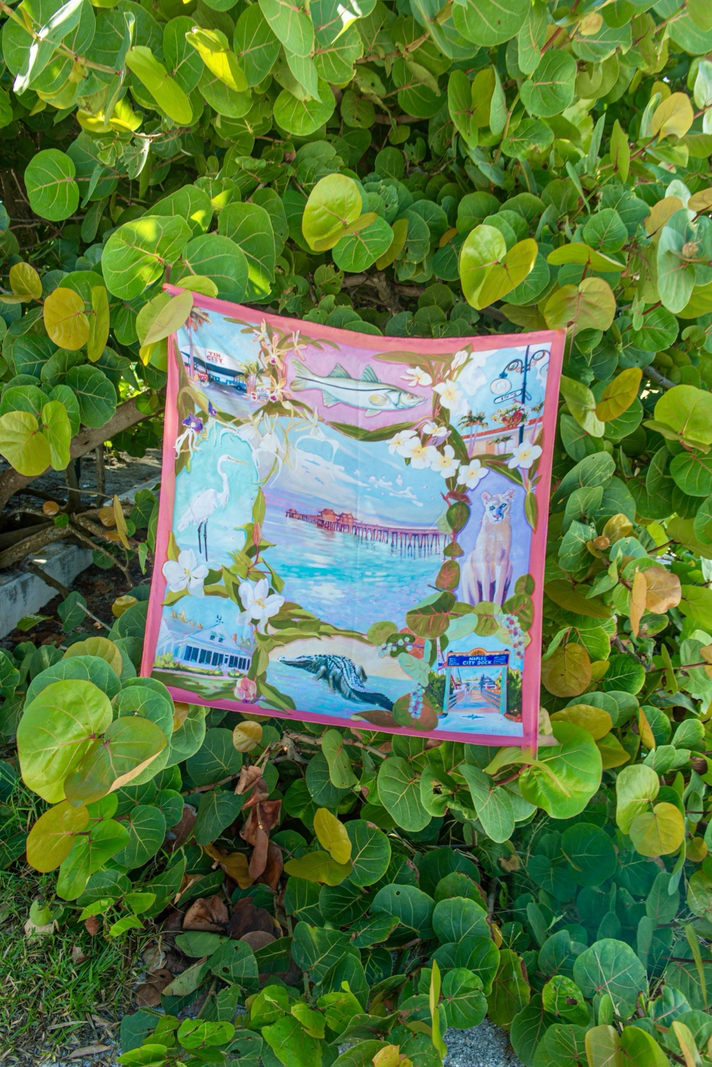 The actual pink Naples scarf among coastal green leaves